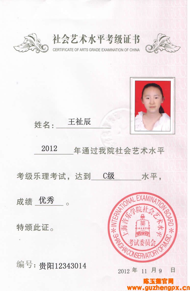 王祉辰乐理c级