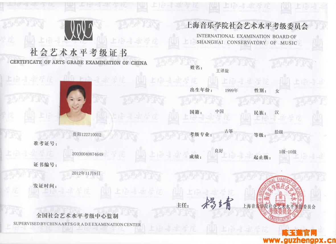 王译旋古筝十级