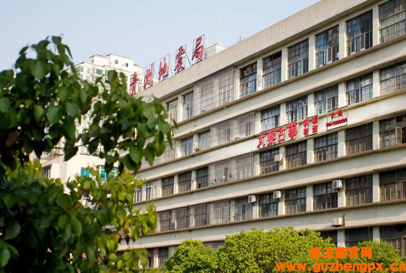大秦古筝培训中心-陈玉莲老师在上课