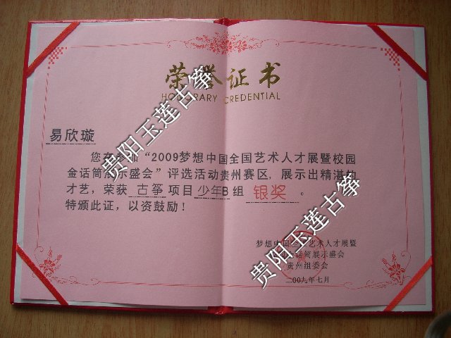银奖
梦想中国2009